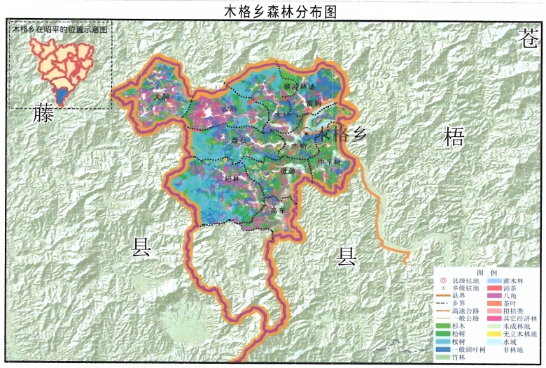 490a7f1df1234c41 “木格乡丛林散布图”